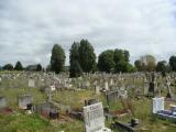 image number Griffiths M 04810